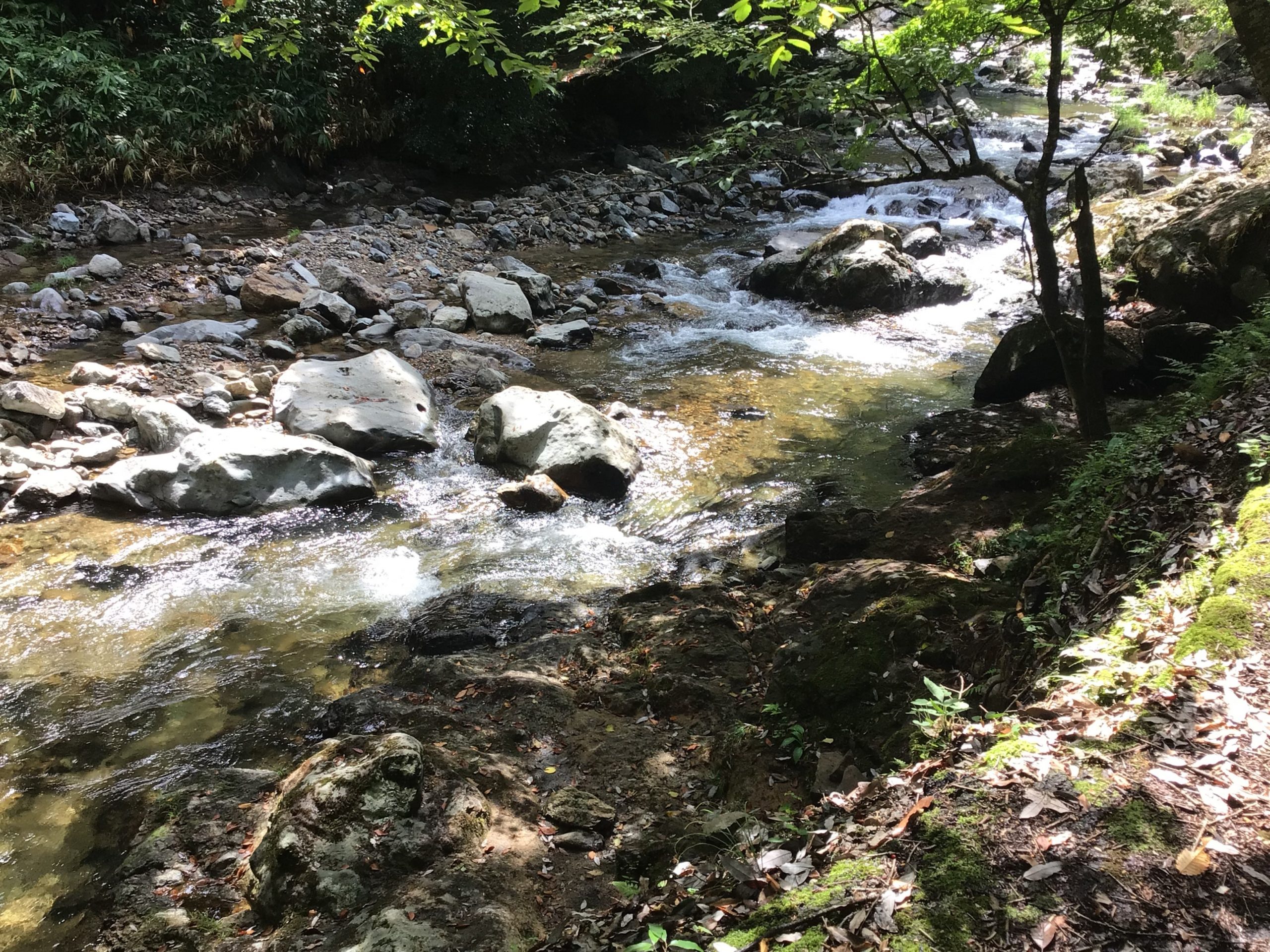 3BCEA3B0-0C88-4C8B-93C5-174B6154776B